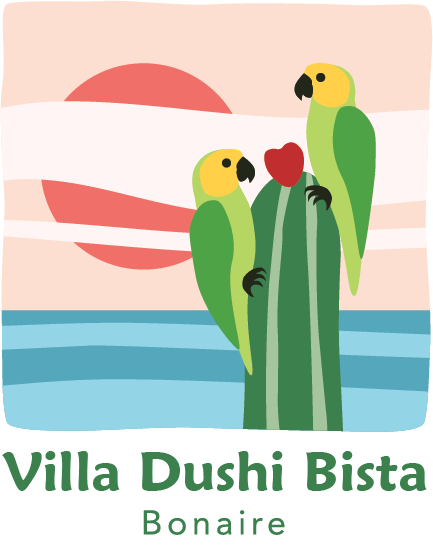 Dushi Bista logo